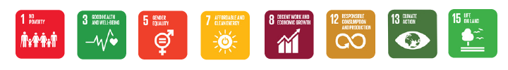 Sustainable Develoapment Goals des B2Run Klimaprojektes