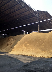 Indien Biomasse-Projekt